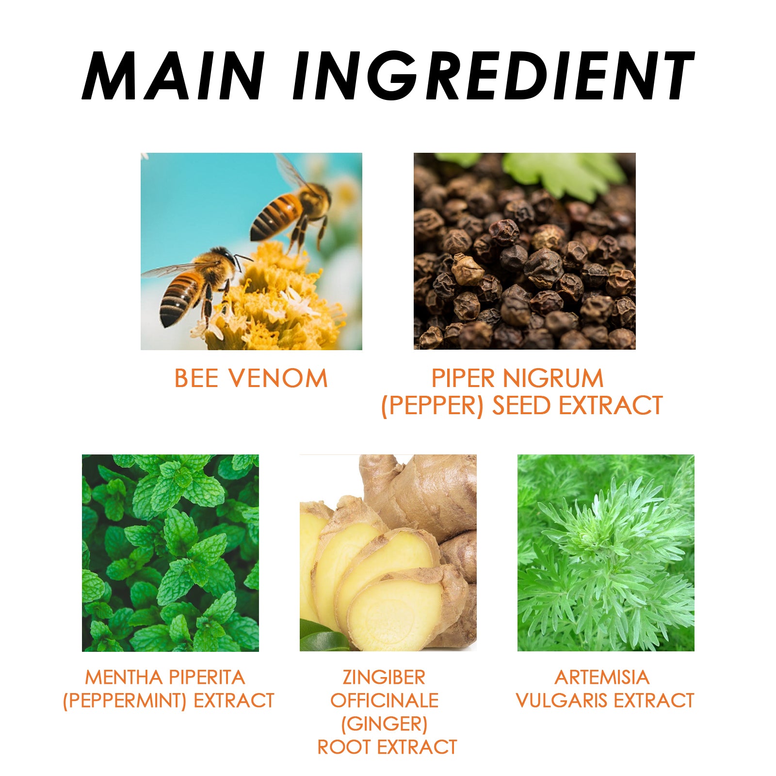 Beauty Consideration, Handy Body Care