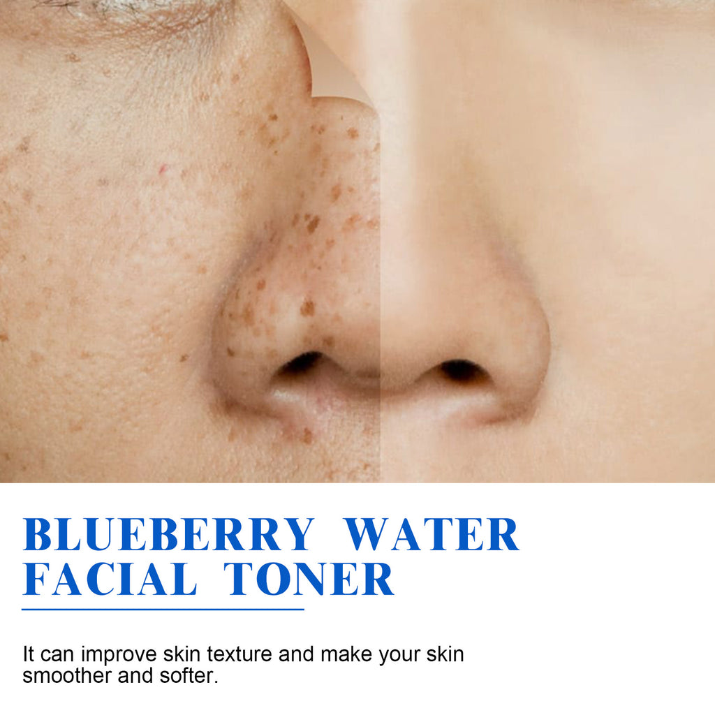 HOYGI Blueberry Facial,