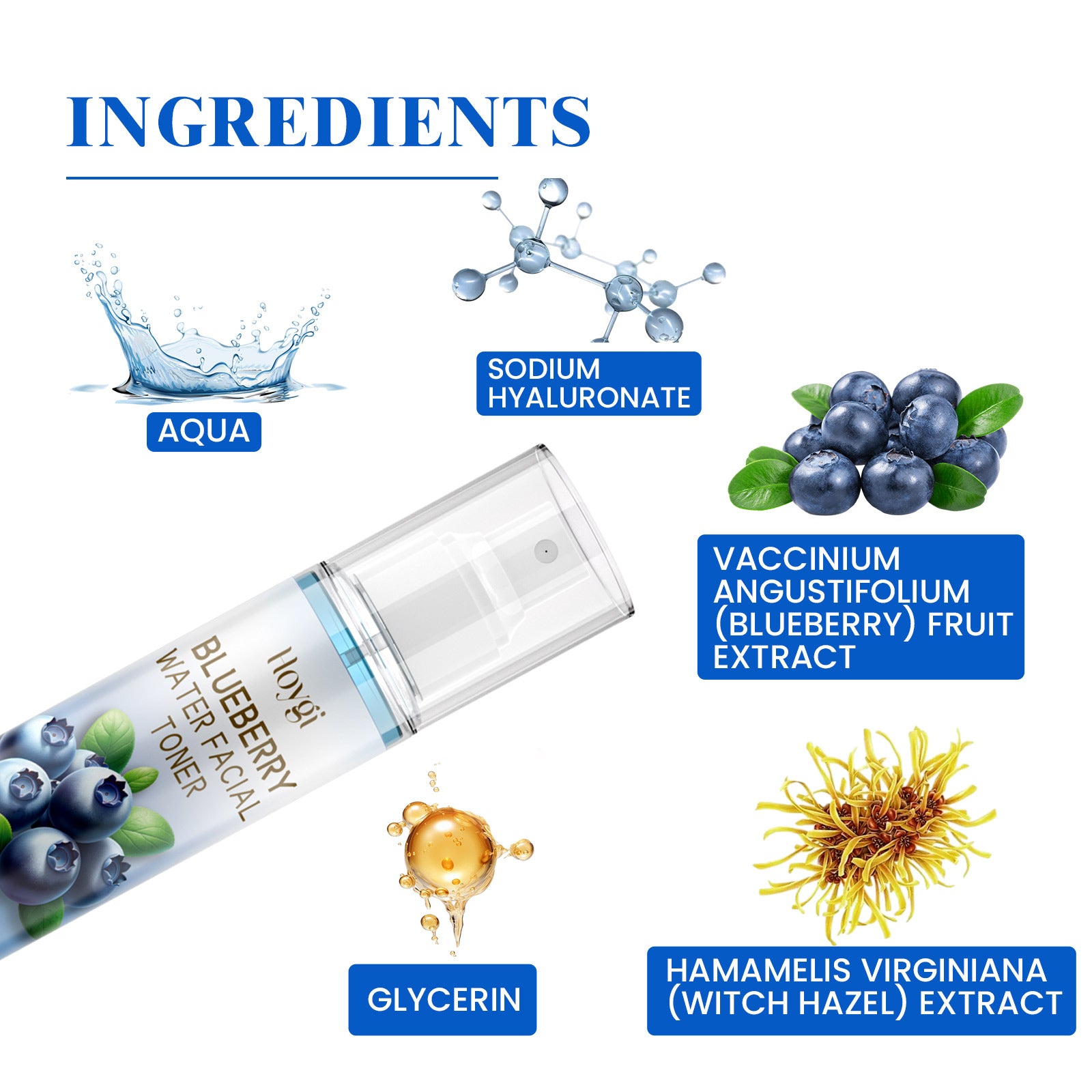 HOYGI Blueberry Facial,